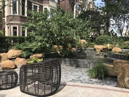 國博城泊玨墅，家的溫馨與友情的深度，最新動態(tài)揭秘